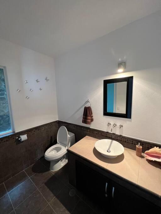 Apartamento Departamento Jacaranda - Hermosa Vista A